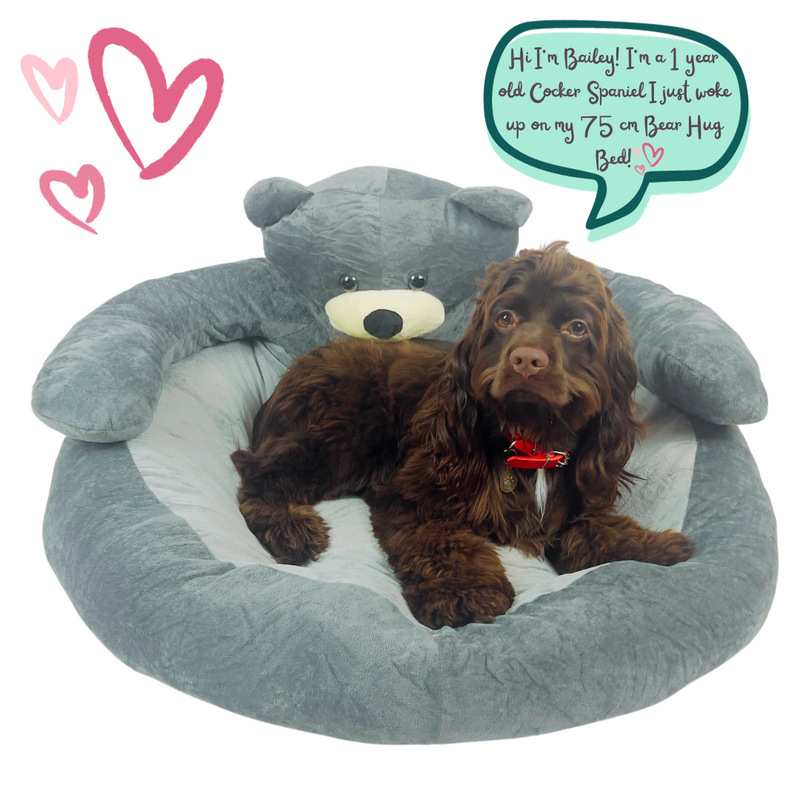 Hug A Teddy Bear Cuddle Bed (Sizes Available - 55 CM & 75 CM)