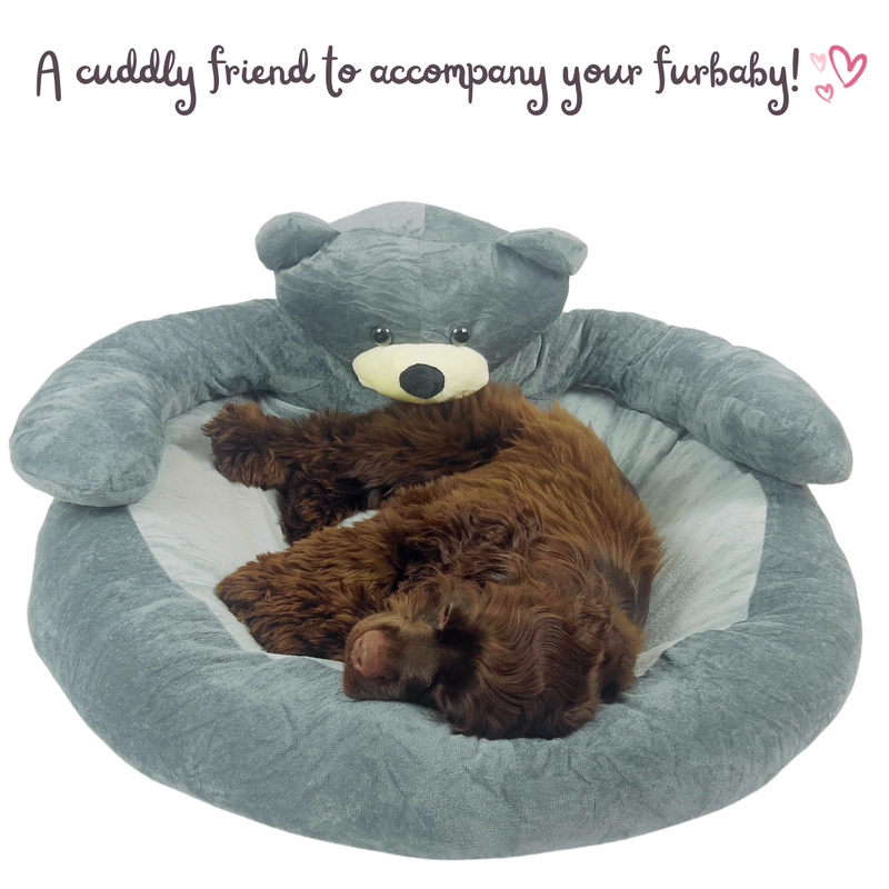 Hug A Teddy Bear Cuddle Bed (Sizes Available - 55 CM & 75 CM)