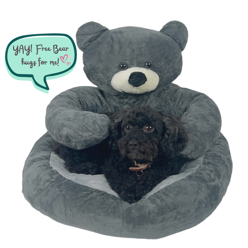 Hug A Teddy Bear Cuddle Bed (Sizes Available - 55 CM & 75 CM)