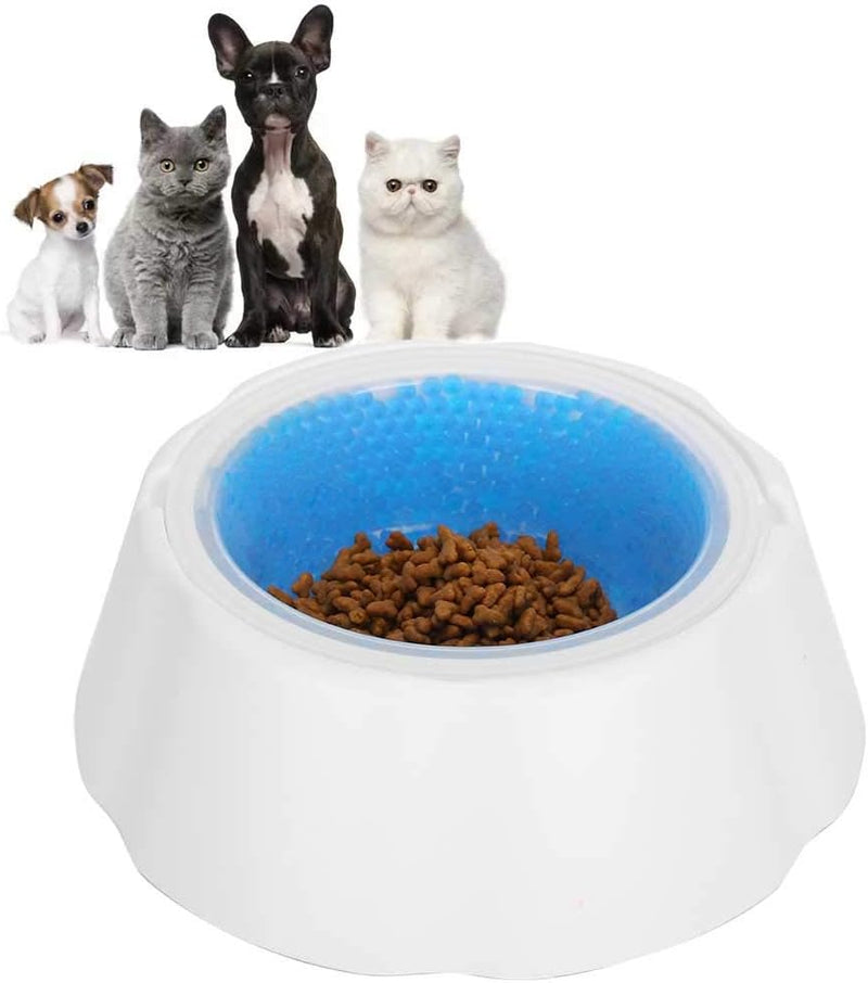 Beat the Heat : Freezable Cooling Bowl (Blue)