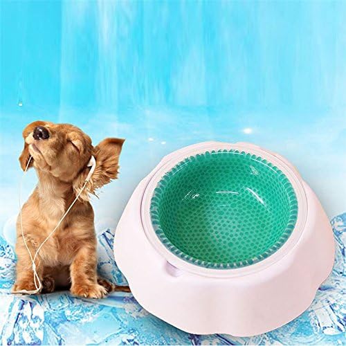 Beat the Heat : Freezable Cooling Bowl (Green)