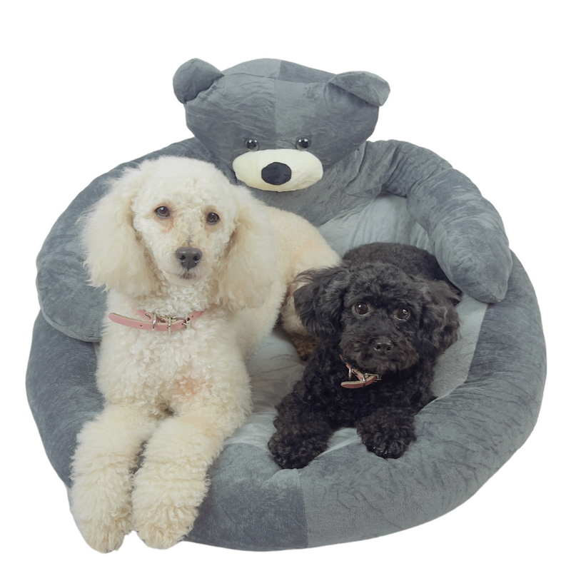 Hug A Teddy Bear Cuddle Bed (Sizes Available - 55 CM & 75 CM)