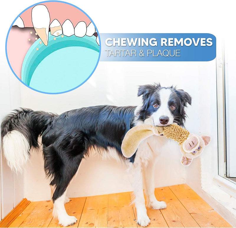 Chic Canine Comfort: 3-Piece Elegant Khaki Piggy Plush Dog Toy Set