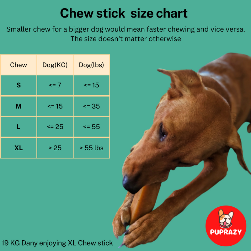 HIMALAYAN HEALTHY DENTAL CHEW BARS FOR DOGS- TURMERIC FLAVOR