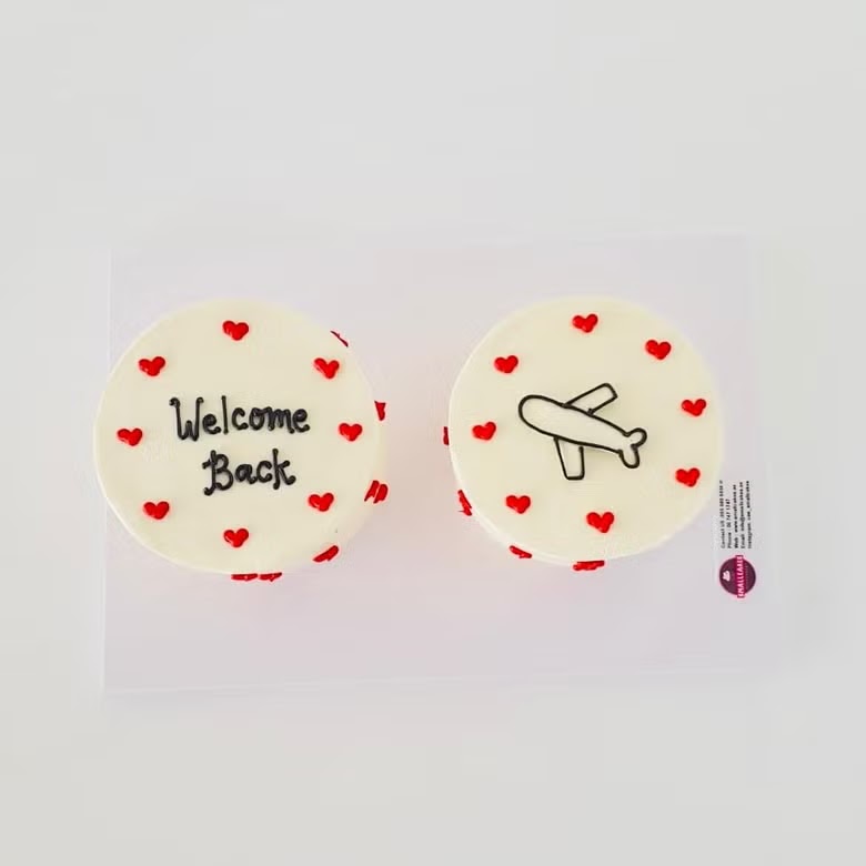 Travel With Me Twin Cake